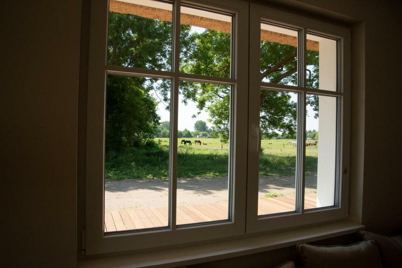Gruene Hufe Villa บอร์น ภายนอก รูปภาพ